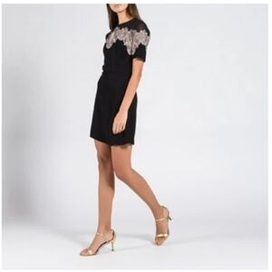 Sandro Sheer Black Dress